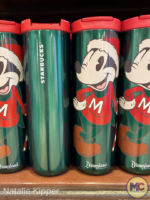 Disneyland-disney parks holiday merchandise 2022-micechat-9