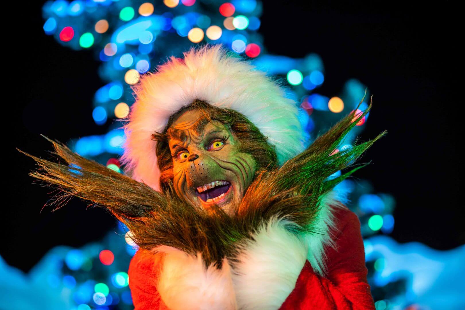 Universal Studios Hollywood Grinchmas