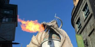 Wizarding World of Harry Potter Diagon Alley