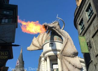 Wizarding World of Harry Potter Diagon Alley