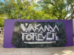 Wakanda Forever – Garden (day) – Photo by Samantha Davis-Friedman