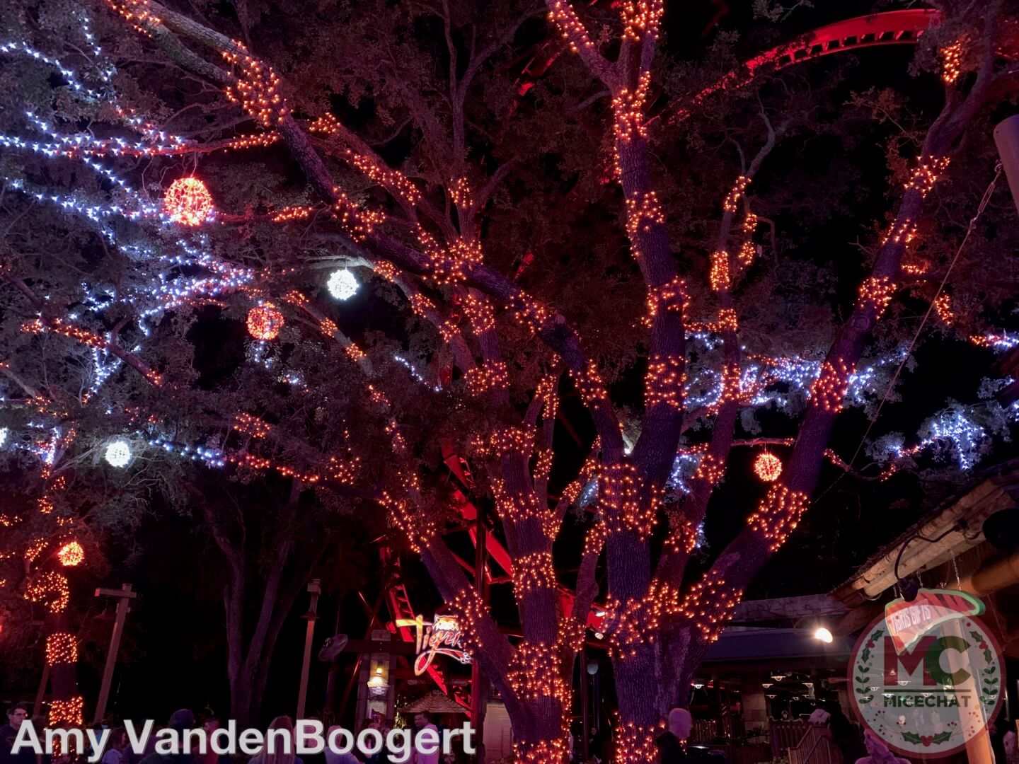 , Christmas Town at Busch Gardens Tampa Brings Holiday Cheer