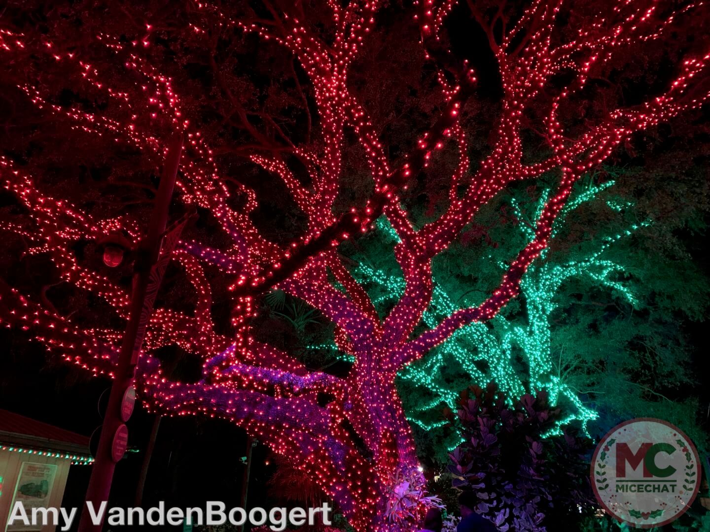 , Christmas Town at Busch Gardens Tampa Brings Holiday Cheer