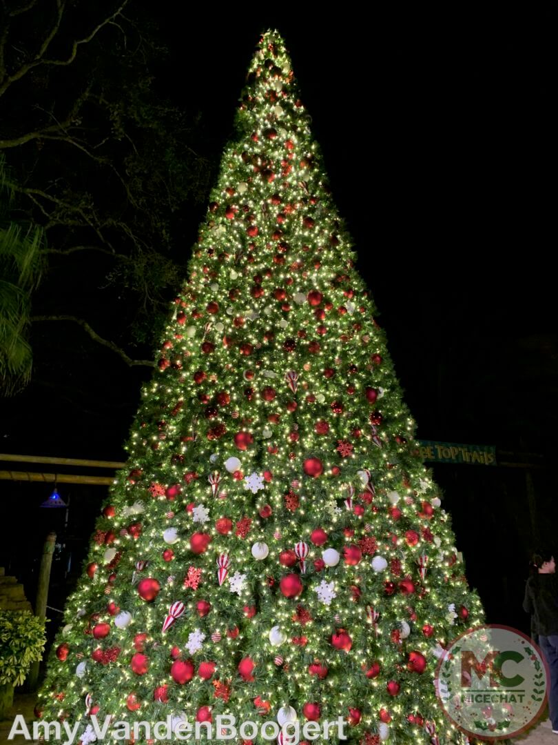 , Christmas Town at Busch Gardens Tampa Brings Holiday Cheer