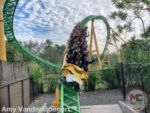 busch gardens tampa cheetah hunt 2