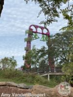 busch gardens tampa serengeti flyer