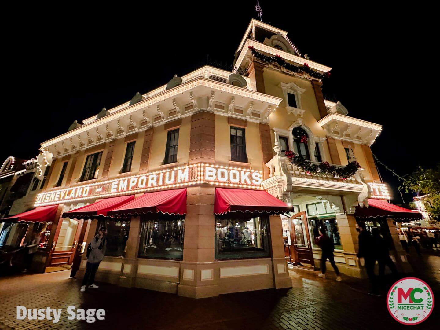 , Disneyland Update – A Storm is Brewing