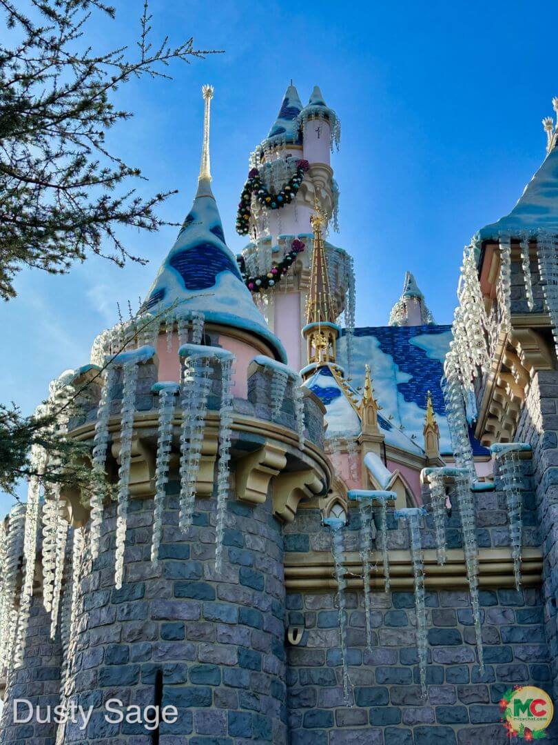 , Disneyland Update – A Storm is Brewing