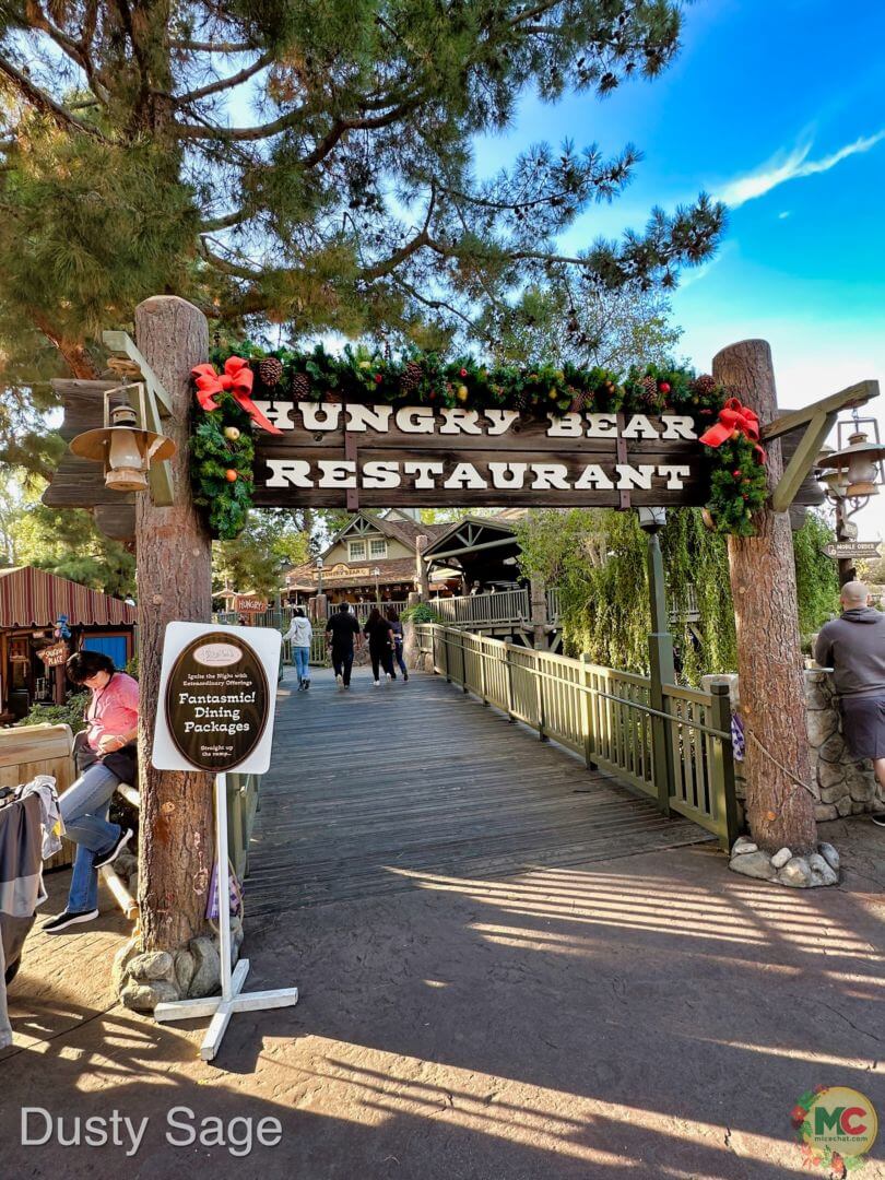 , Disneyland Update – A Storm is Brewing