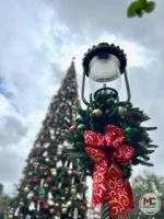 disneyland-main street-christmas tree 2022-2
