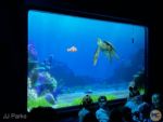 jj-dca-animation-building-turtle-talk-with-crush-marlin MiceChat