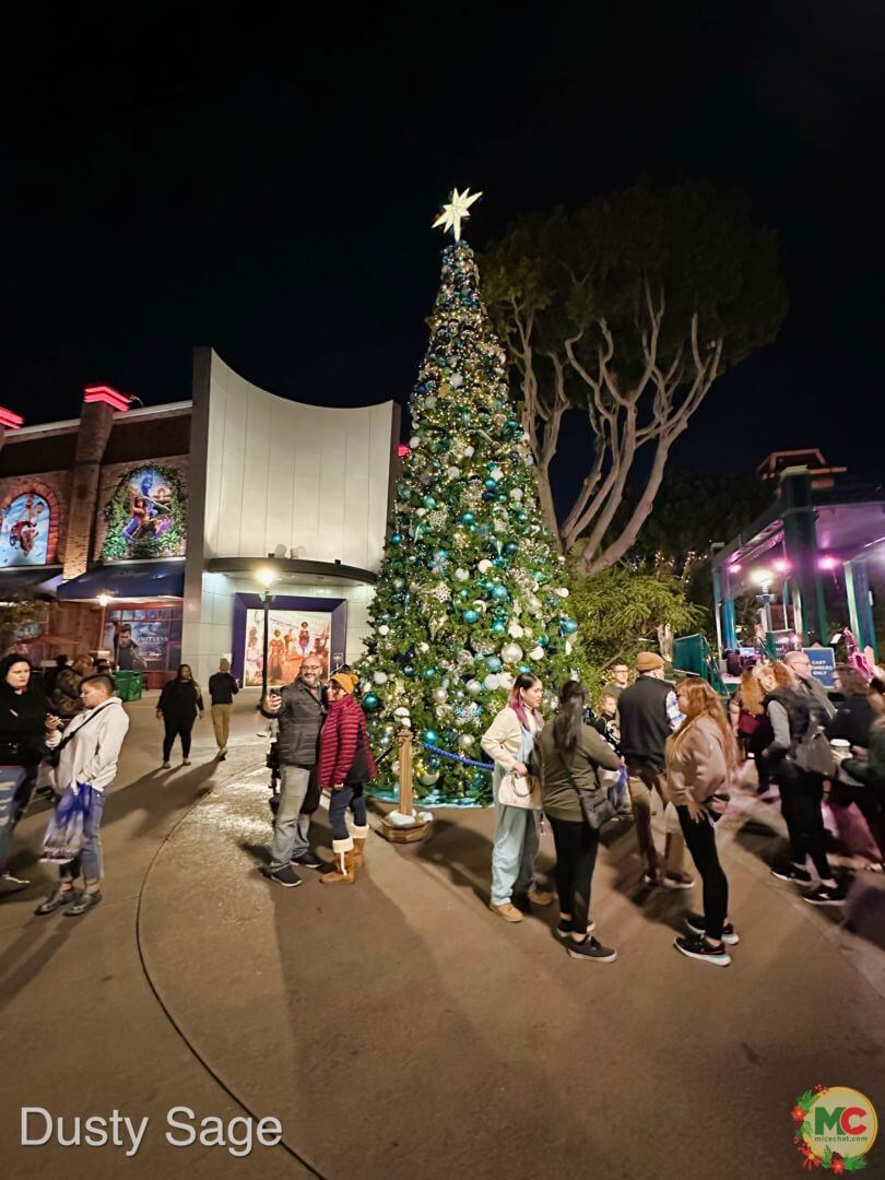 , Disneyland Update &#8211; The CEO Who Stole Christmas