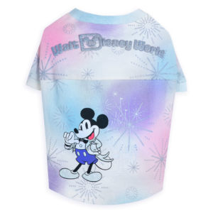 Disney100 Merchandise, More Disney100 Merchandise Hits The Shelves at Disneyland!