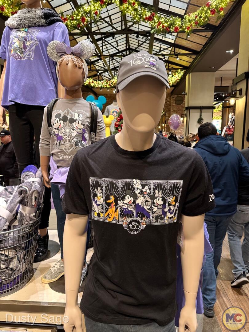 , Disneyland Update – Magic Meter, Locked Out & Christmas Cutbacks