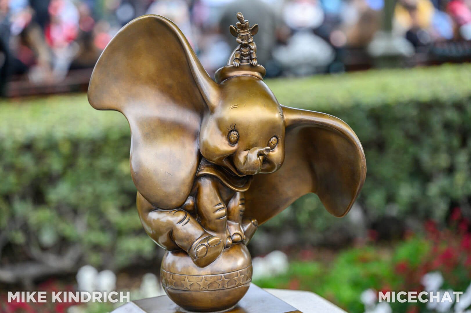 , Disneyland Update – Magic Meter, Locked Out & Christmas Cutbacks
