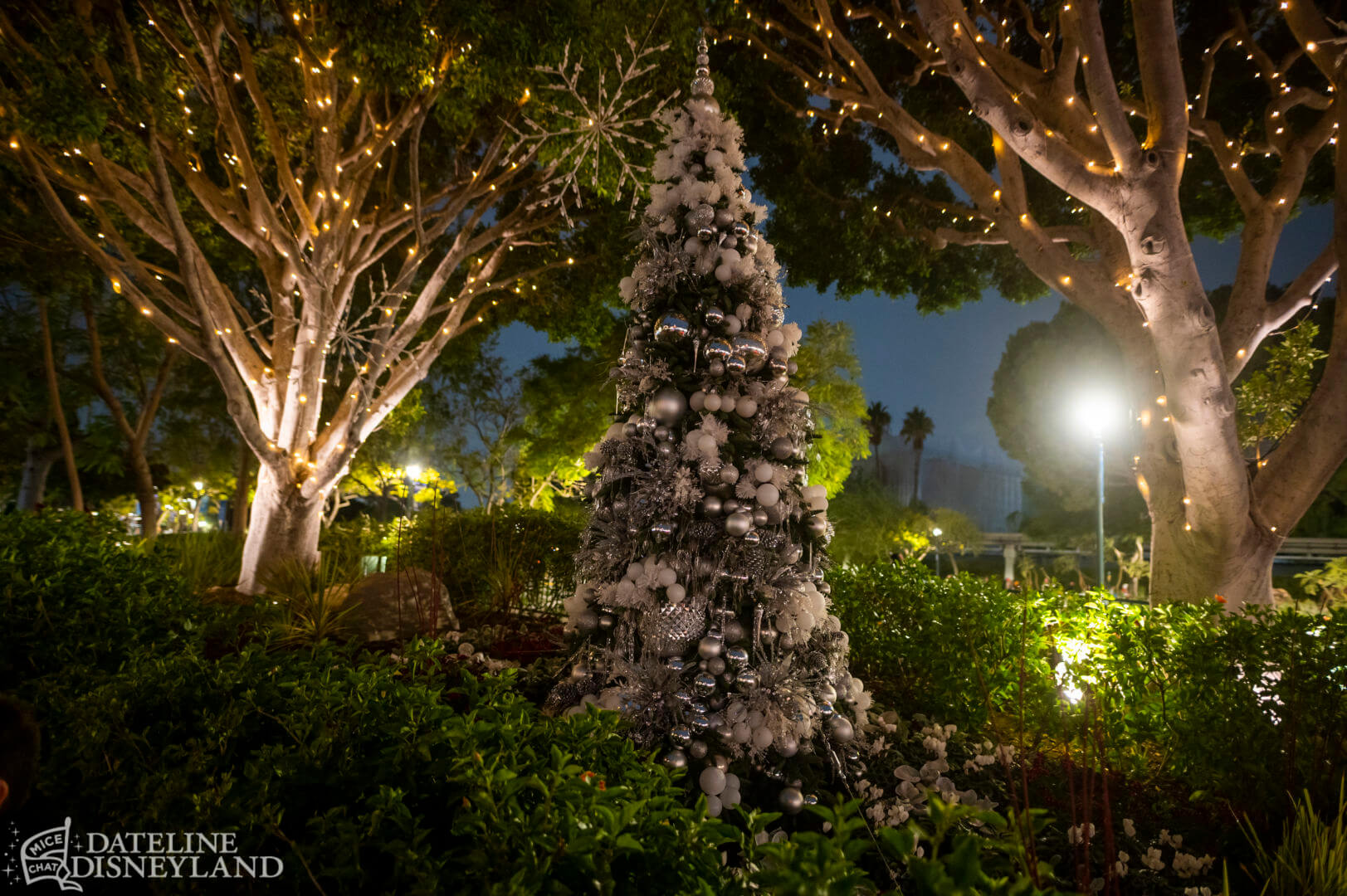 Bob Iger, Disneyland News Update: Bob Iger, Walt’s Shadow & Refurb Madness!
