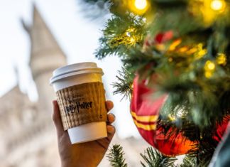 Top Tips for a Universal Studios Hollywood Newbie