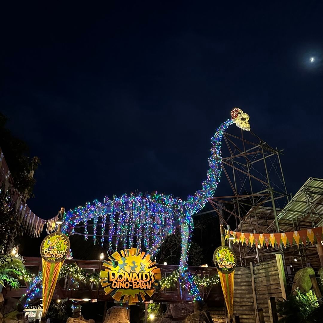 , Christmas in the Wild: Disney’s Animal Kingdom Winter Wonderland!