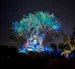 tree of life awakenings