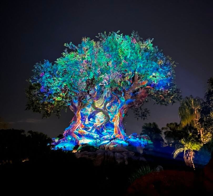 , Christmas in the Wild: Disney’s Animal Kingdom Winter Wonderland!