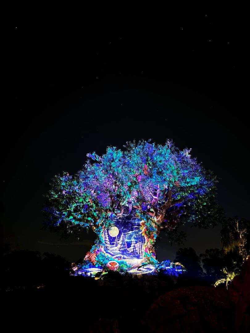, Christmas in the Wild: Disney’s Animal Kingdom Winter Wonderland!