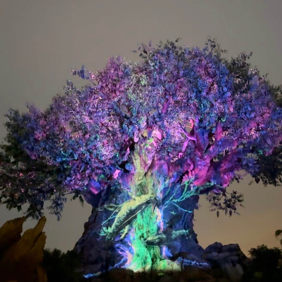 , Walt Disney World Update: It’s a Christmas Miracle on Rails!