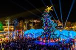 USH Grinchmas Tree Lighting