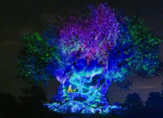 Christmas in the Wild: Disney’s Animal Kingdom Winter Wonderland!