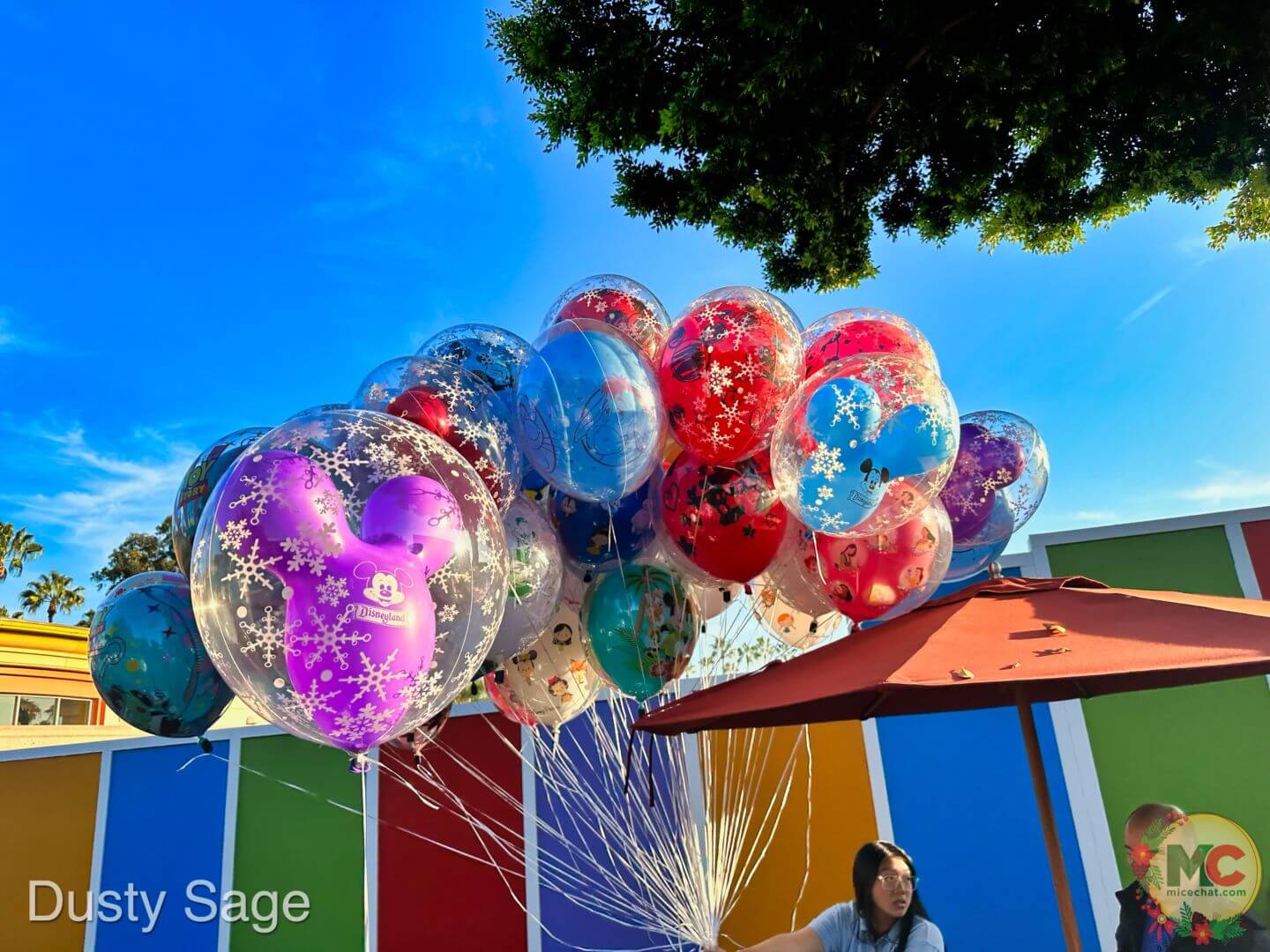 , Disneyland Update – And The Verdict Is…