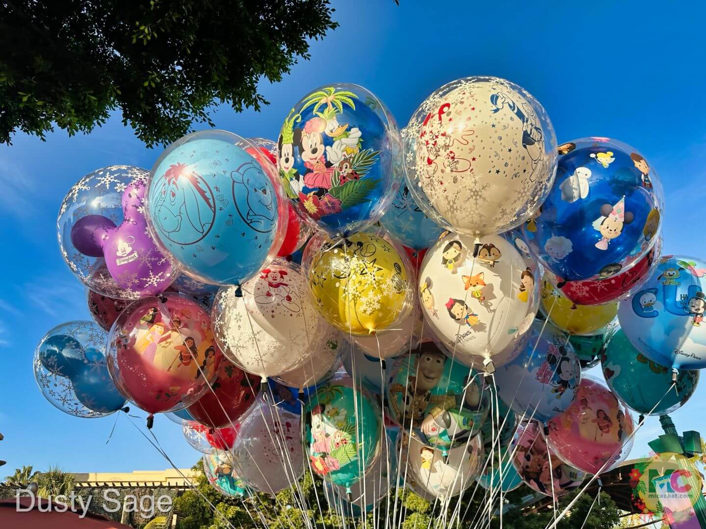 , Disneyland Update – And The Verdict Is…