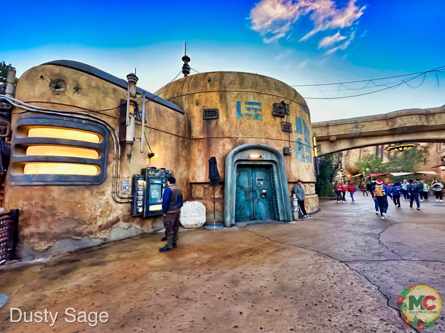, Disneyland Update – And The Verdict Is…