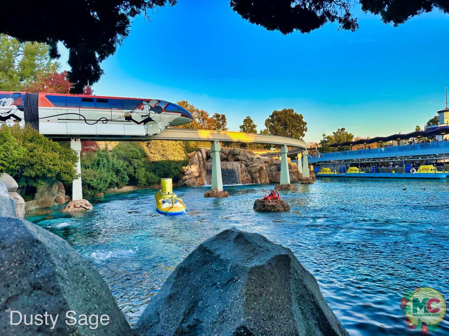 , Disneyland Update – And The Verdict Is…