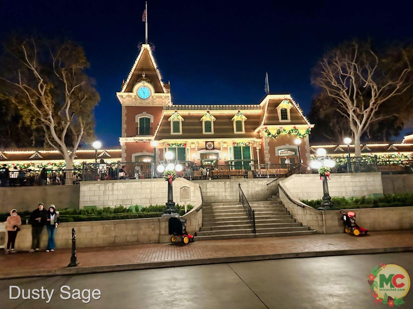 , Disneyland Update – And The Verdict Is…