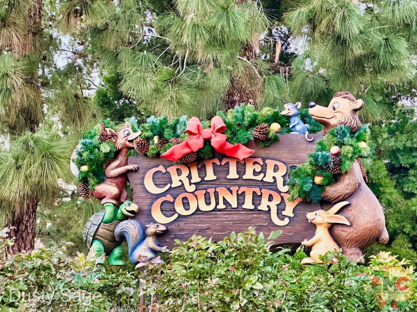 , Disneyland Update – And The Verdict Is…