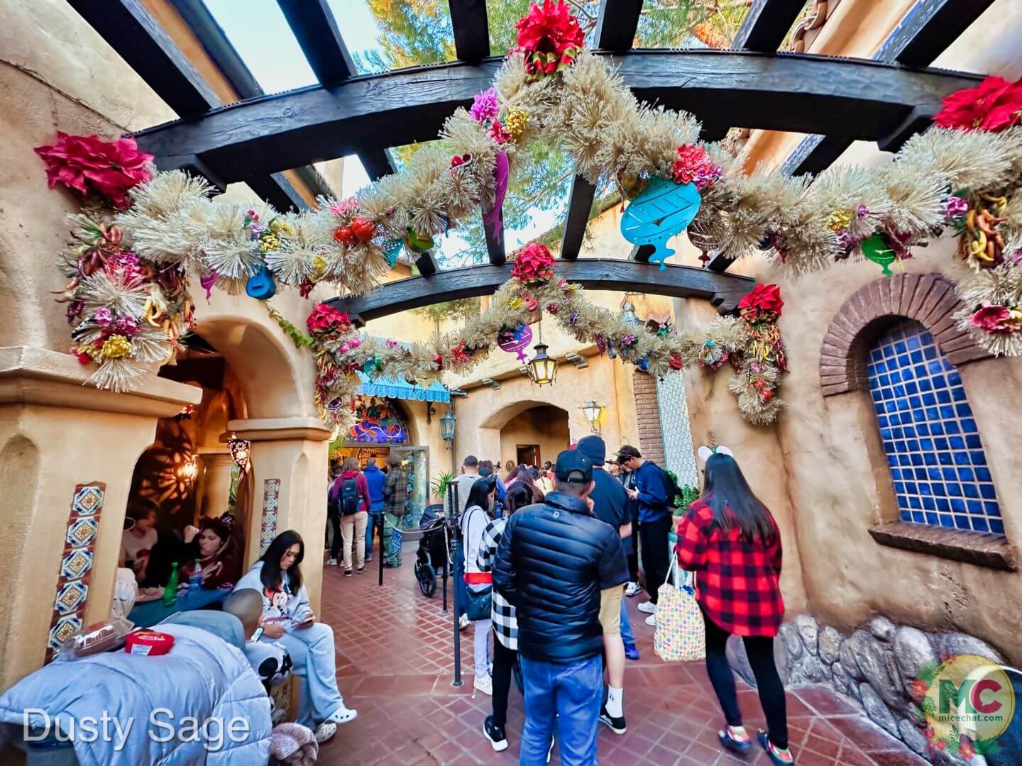 , Disneyland Update – And The Verdict Is…