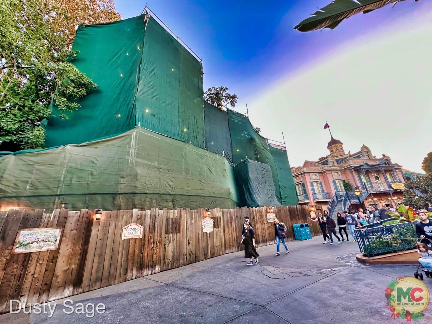 , Disneyland Update – And The Verdict Is…