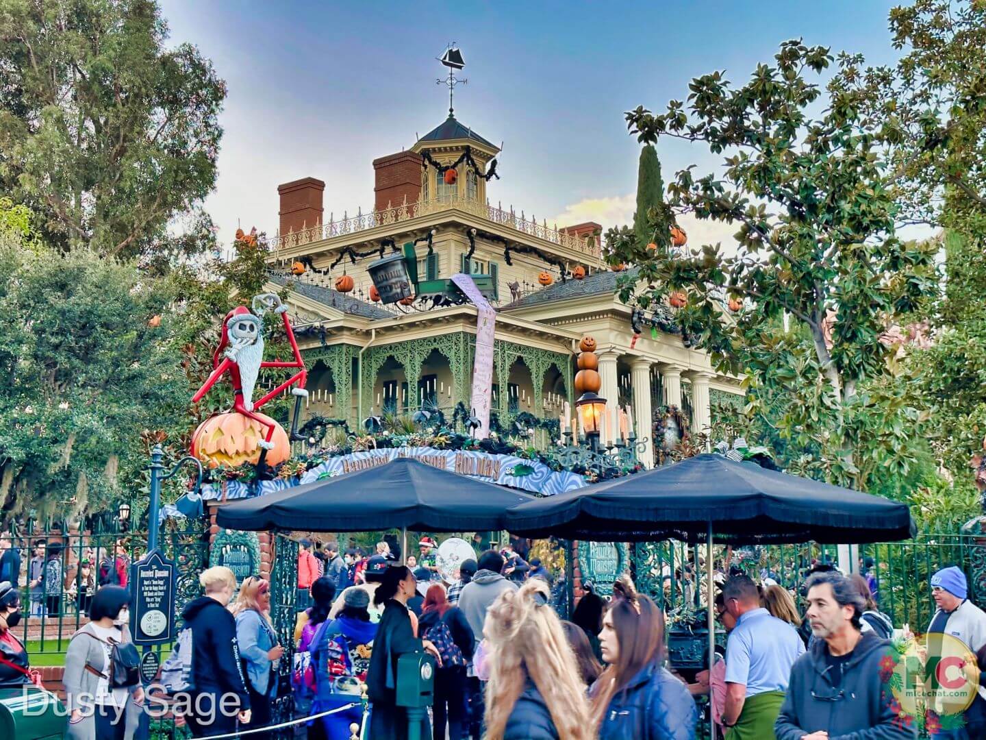 , Disneyland Update – And The Verdict Is…