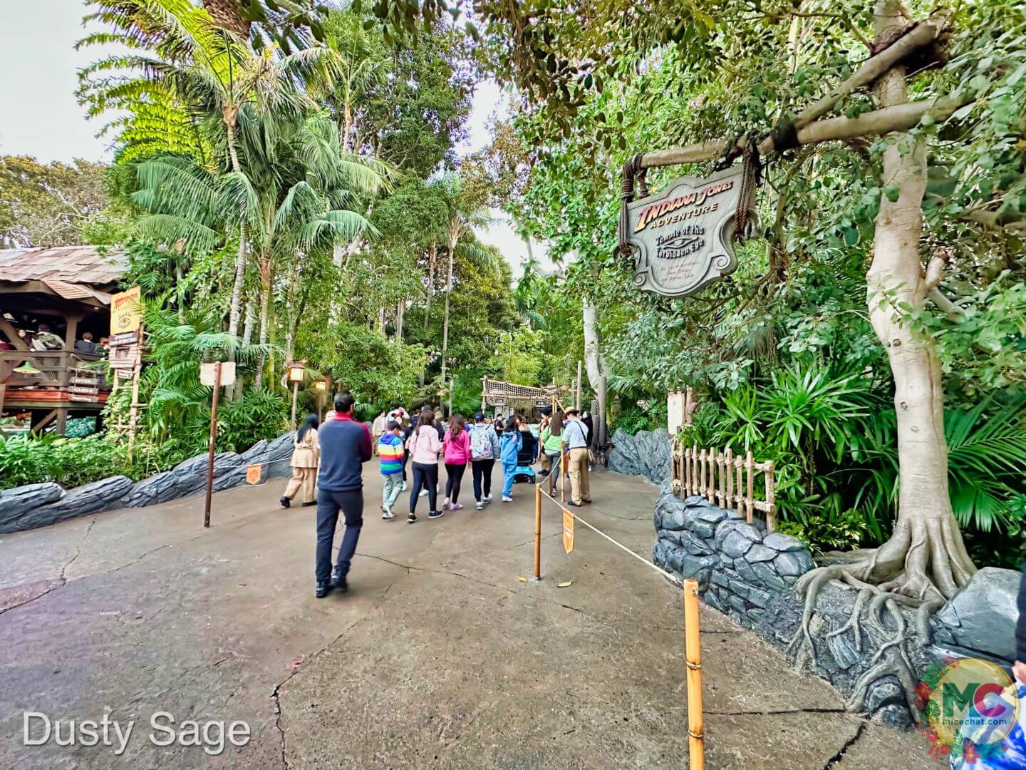 , Disneyland Update – And The Verdict Is…