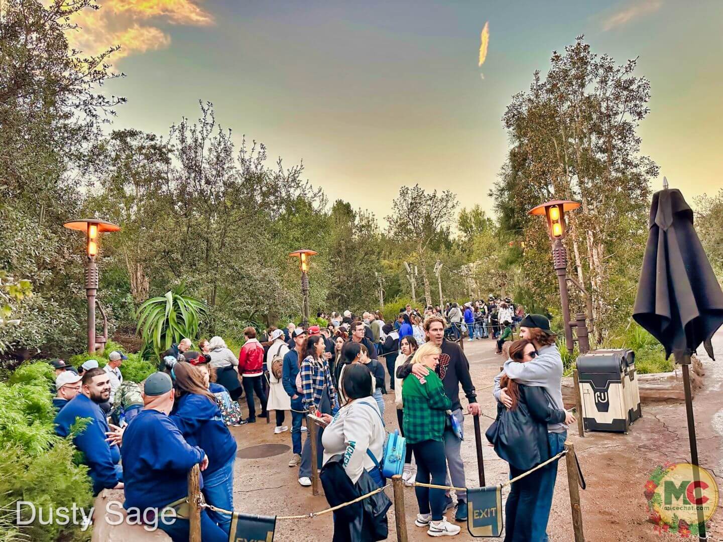 , Disneyland Update – And The Verdict Is…