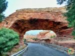 disneyland-DCA cars land arch-MiceChat