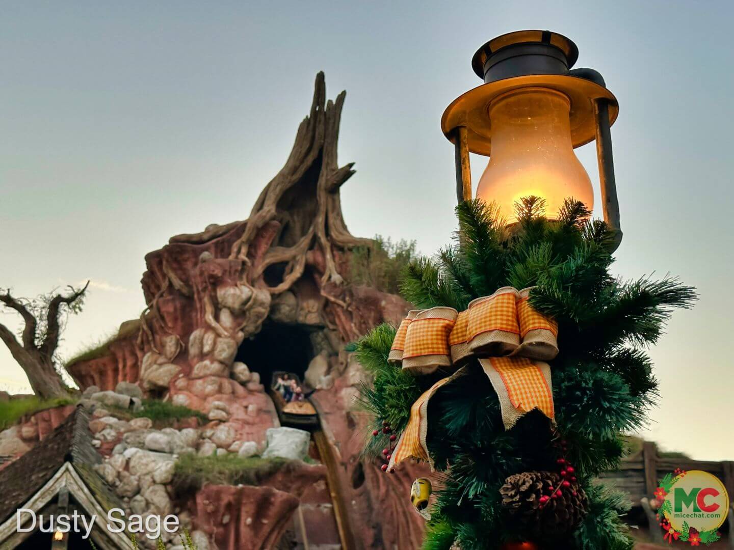 , Disneyland Update – And The Verdict Is…