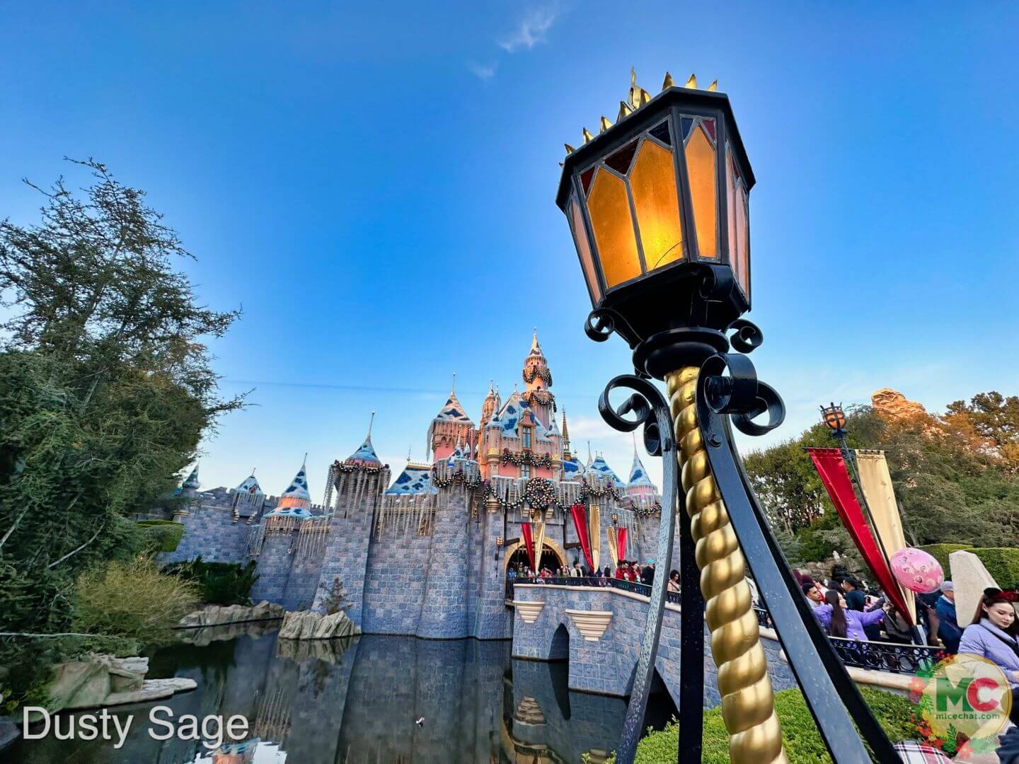 , Disneyland Update – And The Verdict Is…