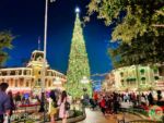 disneyland-beauty main street tree night-MiceChat