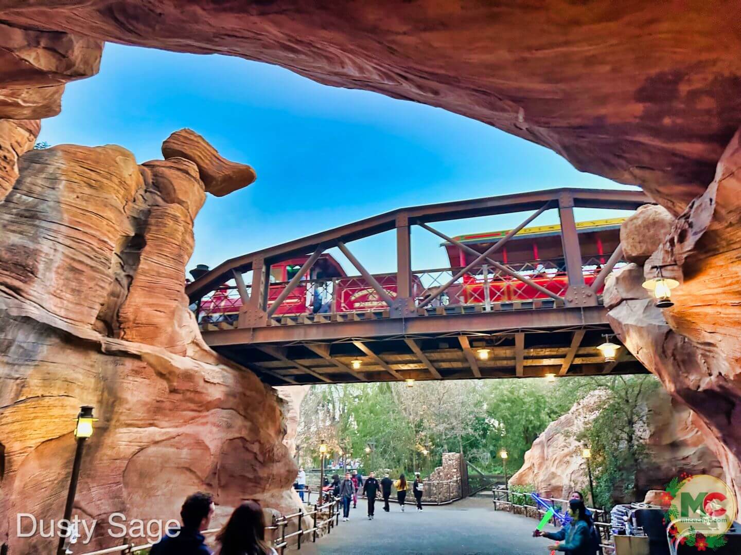 , Disneyland Update – And The Verdict Is…