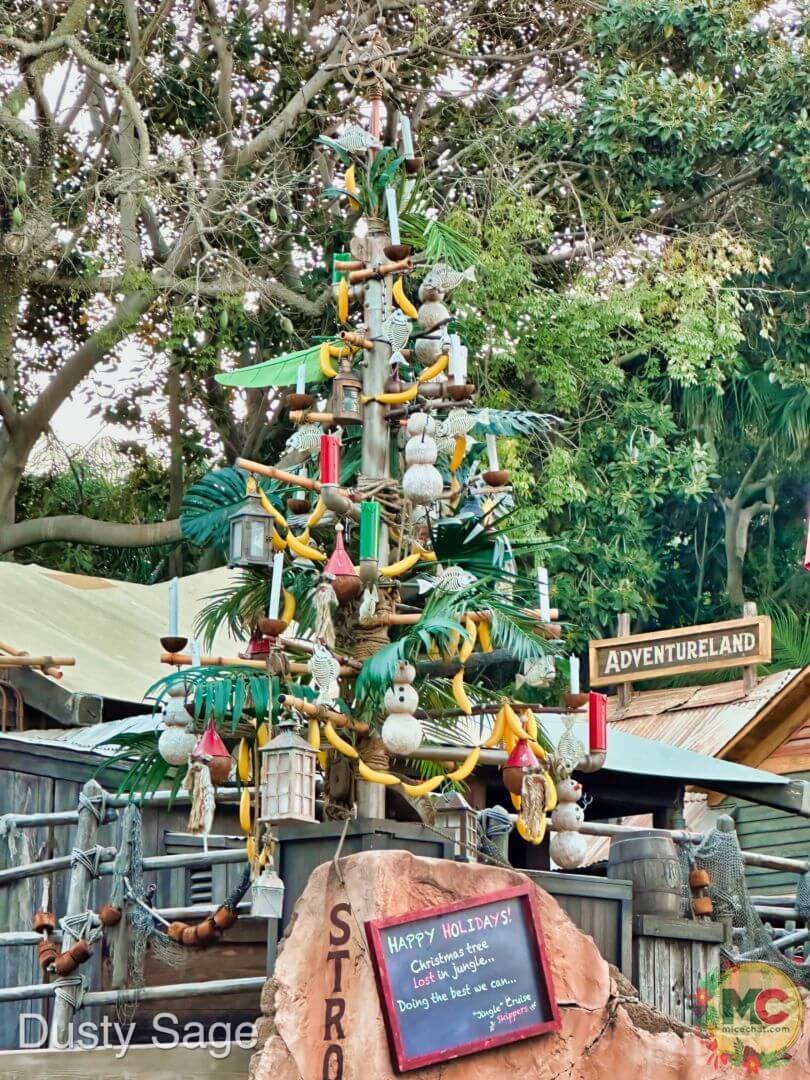 , Disneyland Update – And The Verdict Is…