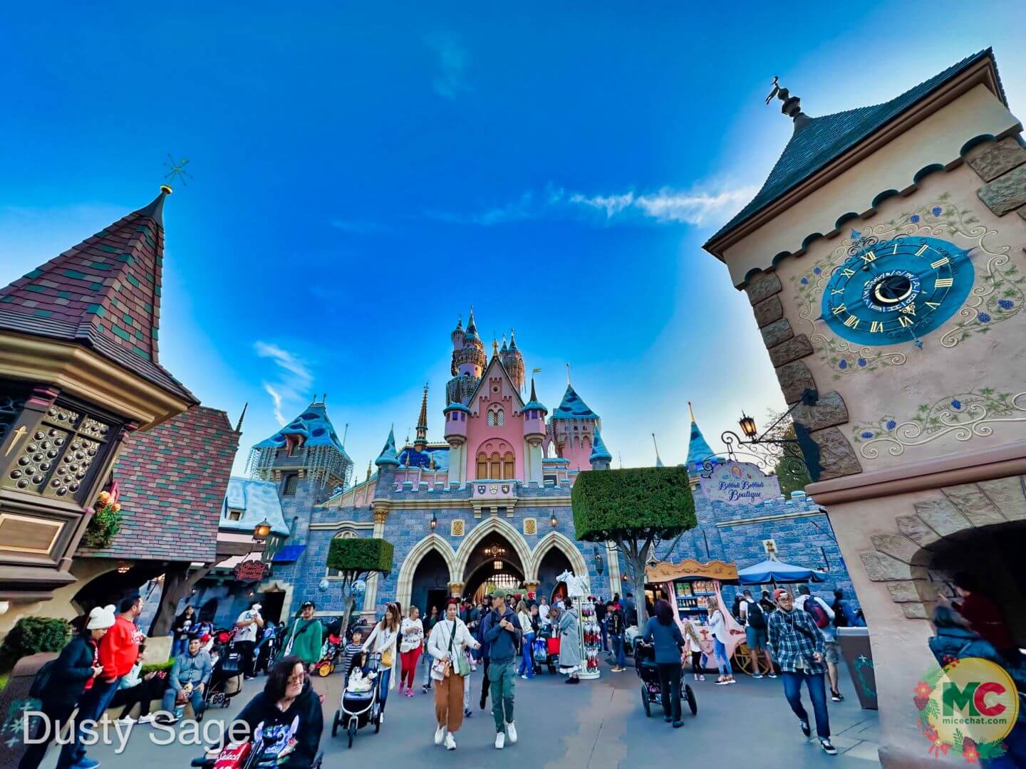 , Disneyland Update – And The Verdict Is…