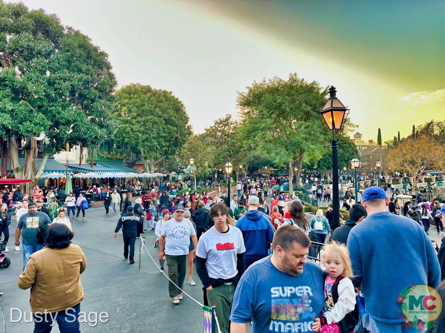, Disneyland Update – And The Verdict Is…
