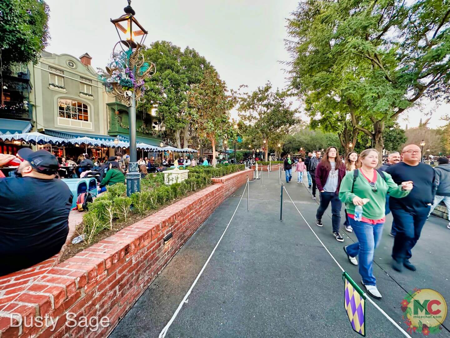 , Disneyland Update – And The Verdict Is…