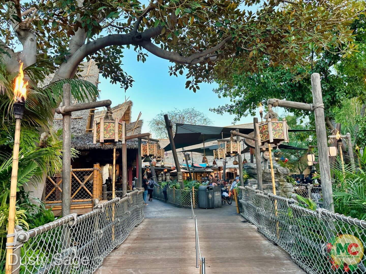 , Disneyland Update – And The Verdict Is…