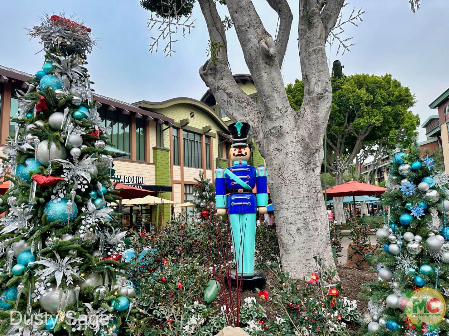 , Disneyland Update – And The Verdict Is…